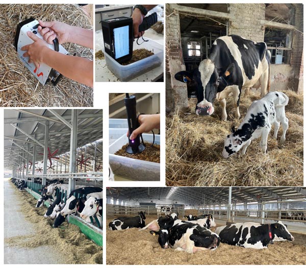 Applicazioni di strumentazione NIR in azienda zootecnica - Webinar su piattaforma Teams