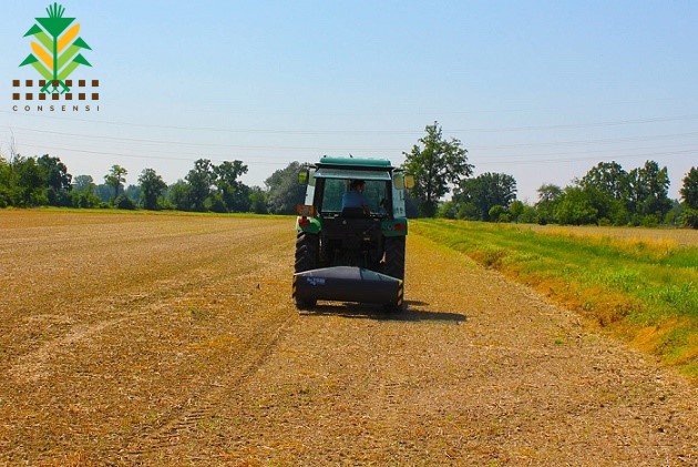 Dimostrazione in campo della fertilizzazione azotata del mais con i sensori high tech