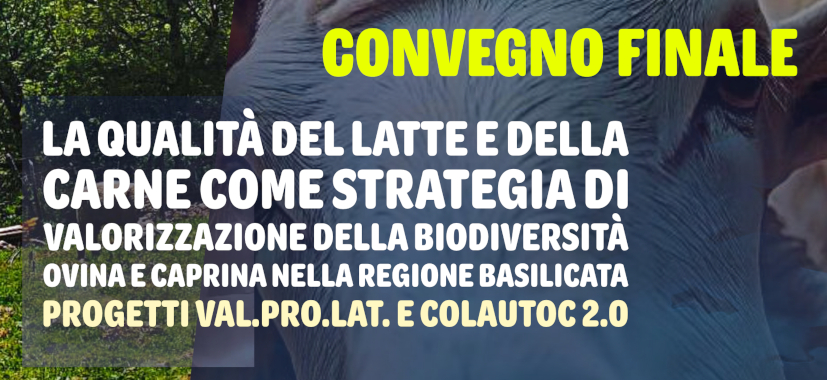Convegno Finale progetti Biodiversità ovi-caprina