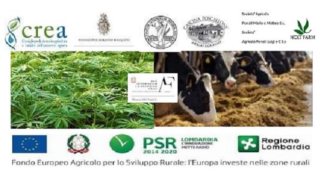 SEMINARIO DEL GRUPPO OPERATIVO CANAPRO