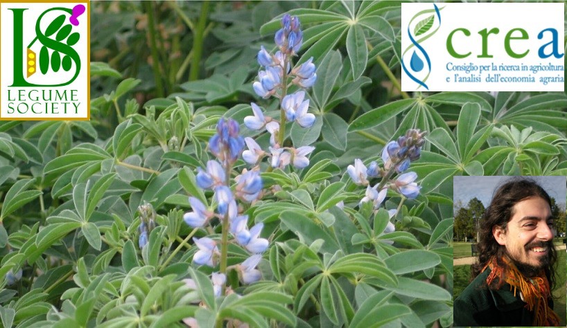 Il CREA Centro di ricerca Zootecnia e Acquacoltura, insieme all’ ILS - International Legume Society presenta il calendario mensile dei loro webinar