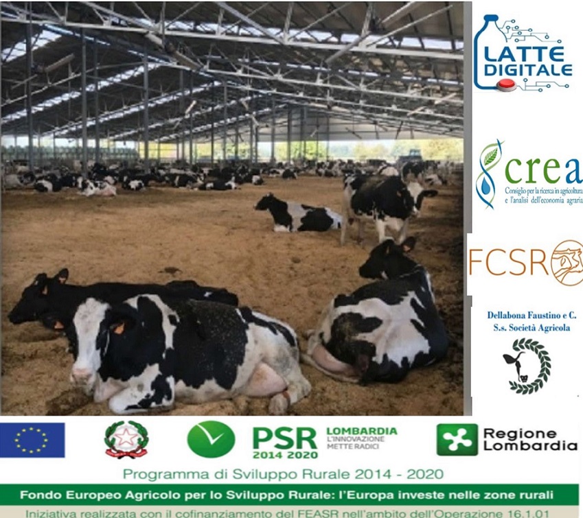 Zootecnia digitale e monitoraggio del benessere dalla vitella alla bovina adulta: l’azienda Della Bona