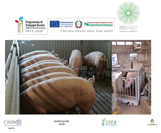 RIDURRE LE EMISIONI DI AMMONIACA DEL SUINO PESANTE CON DIETE ADITTIVATE DI ACIDO BENZOICO