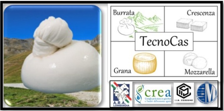 Valorizzazione del latte d’alpeggio attraverso la produzione di burrata