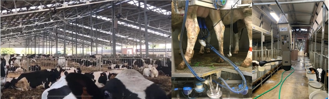 INCONTRO TECNICO “Monitoraggio della salute mammaria”