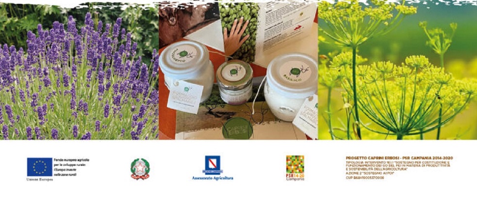 Convegno finale del Progetto CAPRINI ERBOSI- Risultati e prospettive per l'innovazione nel settore caprino