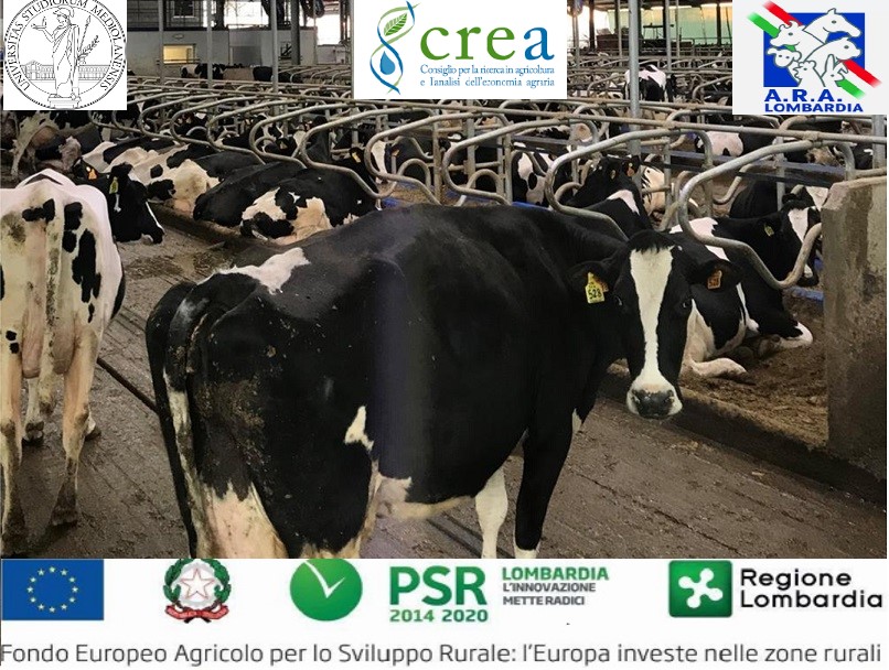 Mungitura robotizzata e salute mammaria