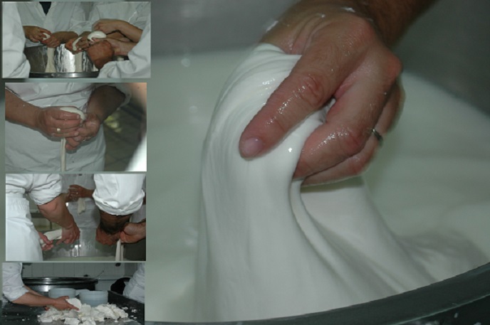 2° CORSO “TECNICO SPECIALIZZATO NELLE PRODUZIONI LATTIERO-CASEARIE TRADIZIONALI SOSTENIBILI”