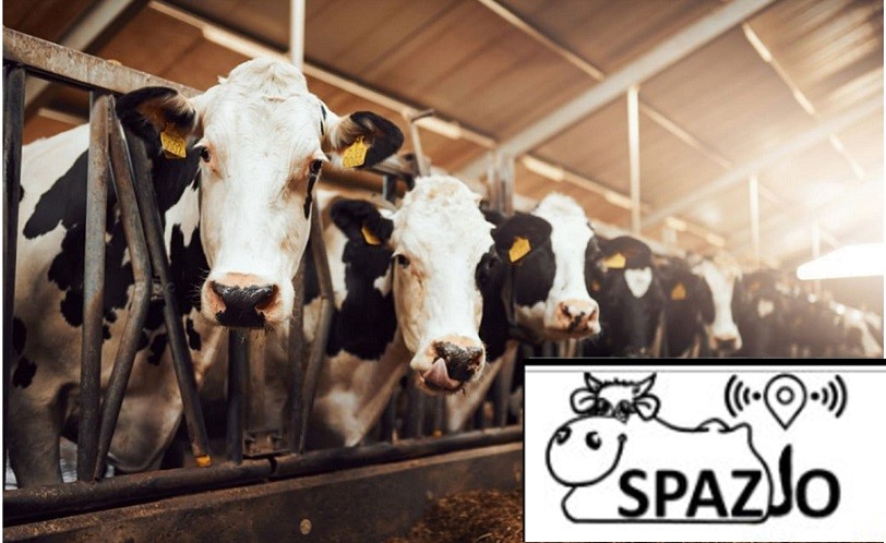 Utilizzo delle tecnologie digitali per la gestione ottimale delle bovine
