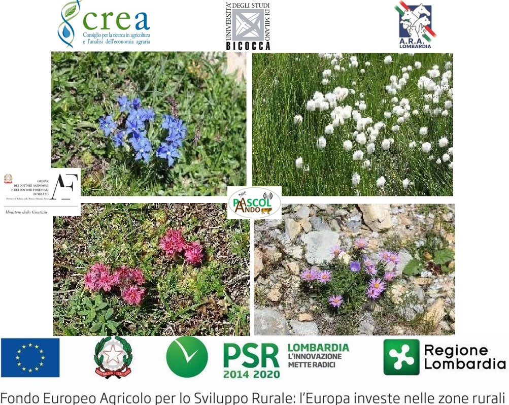 VEGETAZIONE DEI PASCOLI ALPINI - Rilievi floristico-vegetazionali in Alpe Andossi Biodiversità e Qualità del pascolo