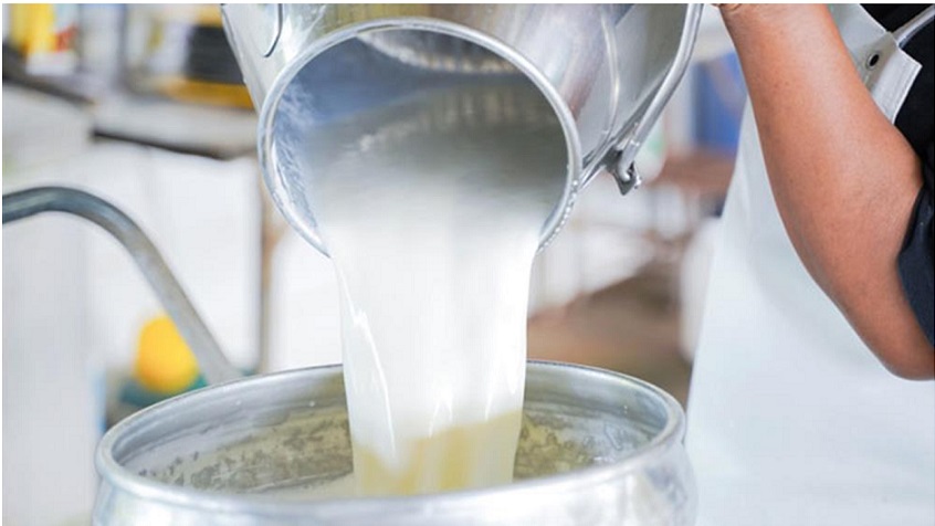 ESITO SELEZIONE PER AMMISSIONE AL CORSO “TECNICO SPECIALIZZATO NELLE PRODUZIONI LATTIERO-CASEARIE TRADIZIONALI SOSTENIBILI”