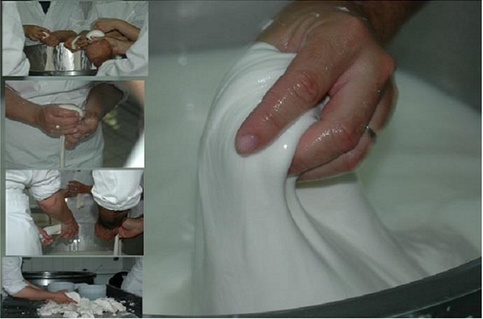 Aperte le iscrizioni al secondo corso “TECNICO SPECIALIZZATO NELLE PRODUZIONI LATTIERO-CASEARIE TRADIZIONALI SOSTENIBILI”