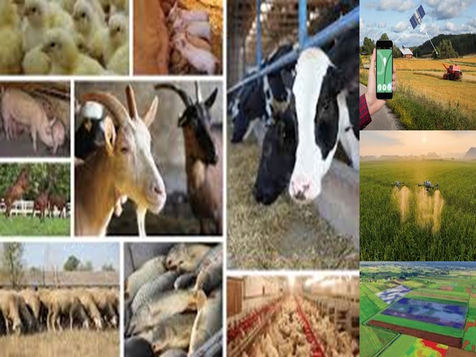 Sostenibilità del Sistema Agroalimentare