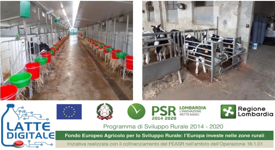 Zootecnia digitale e benessere della vitella: il caso-studio dell’azienda Barbiselle