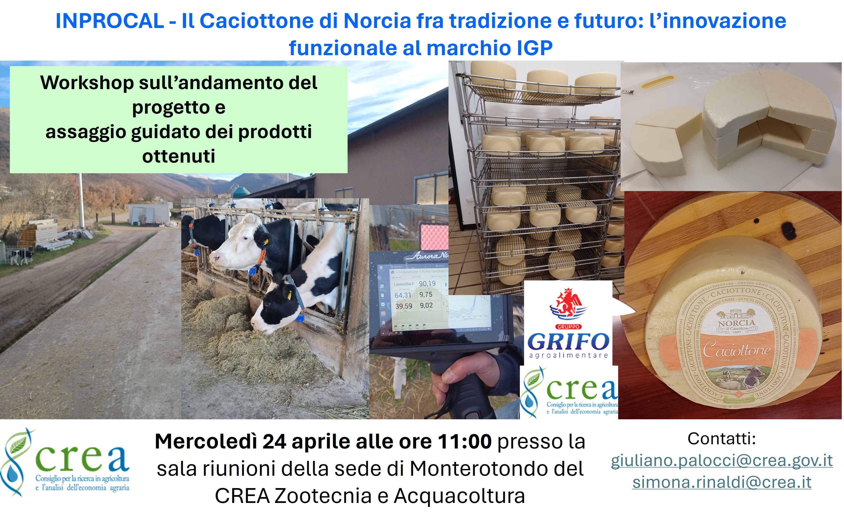 Illustrazione delle innovazioni di processo e di prodotto applicate nel progetto 