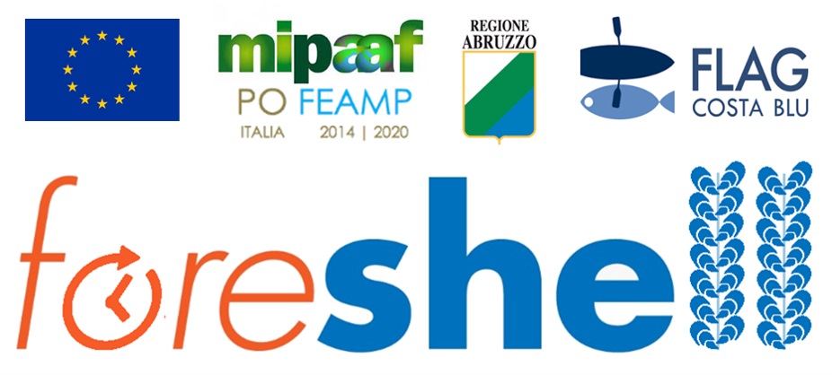 Proseguono le attività del Progetto FORESHELL