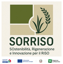 Sostenibilità, innovazione e rigenerazione per la filiera del riso – SORRISO
