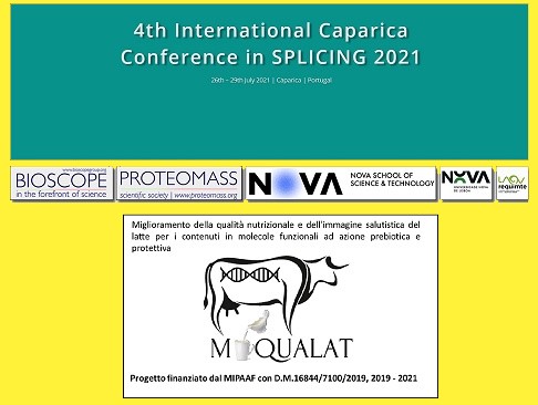 4TH INTERNATIONAL CAPARICA CONFERENCE IN SPLICING 2021 26 - 29 luglio 2021 Caparica, Portogallo