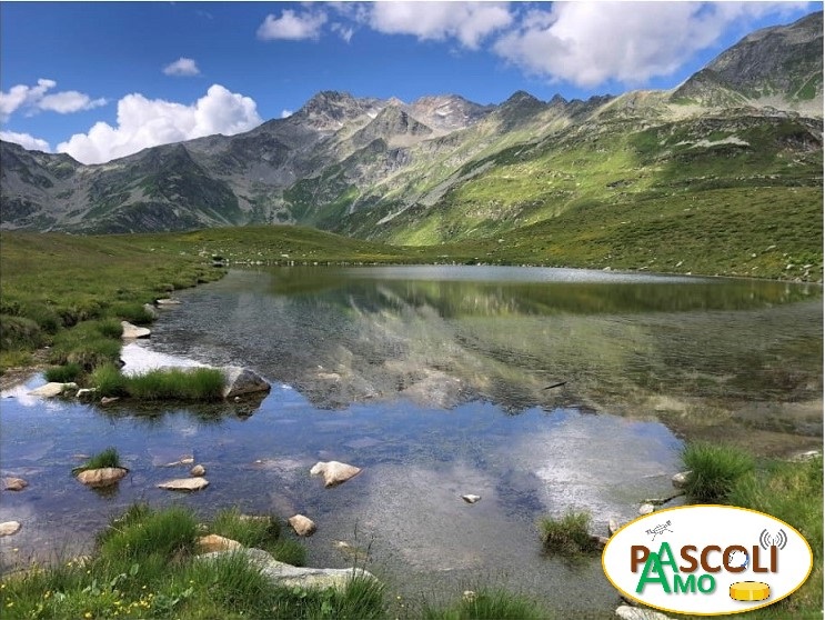 SECONDA VISITA TECNICA IN ALPEGGIO