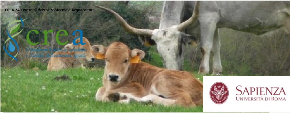 IL CREA INCONTRA GLI STUDENTI DELLA FACOLTÀ DI ECONOMIA, SCIENZE POLITICHE E LETTERE, DELL’UNIVERSITÀ DELLA SAPIENZA