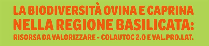 La Biodiversità Ovina e Caprina - Nella Regione Basilicata: Risorsa da valorizzare - Colautoc 2.0 e Val.Pro.Lat.
