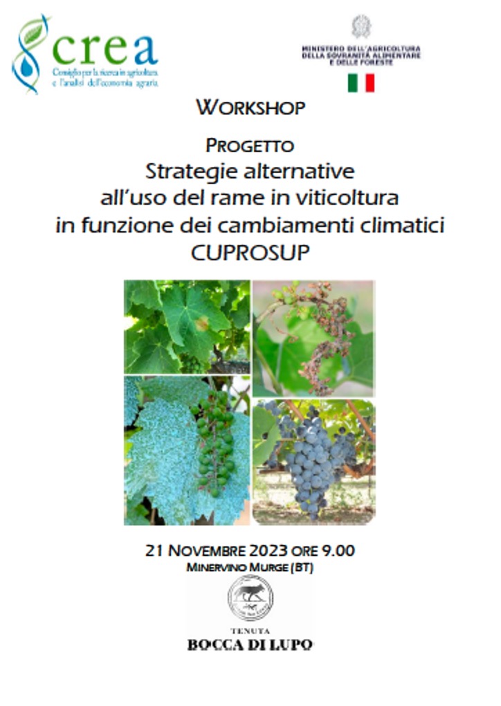 Locandina e loghi evento CUPROSUP