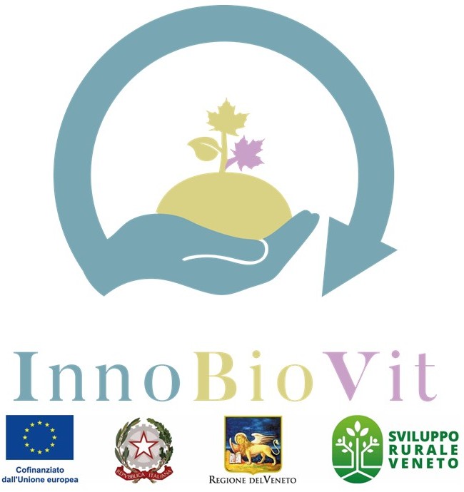 PSR Veneto 2023-2027 sostegno gruppi operativi PEI AGRI - INNOBIOVIT - CODICE INTERVENTO: SRG01 - DOMANDA: n. 5836485