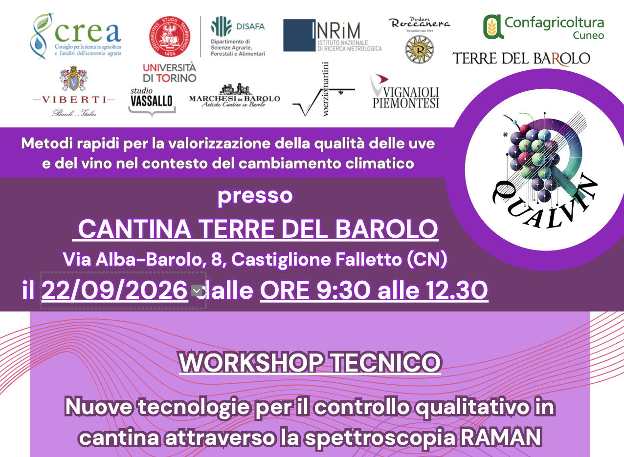 Nuove tecnologie per il controllo qualitativo in cantina attraverso la spettroscopia Raman
