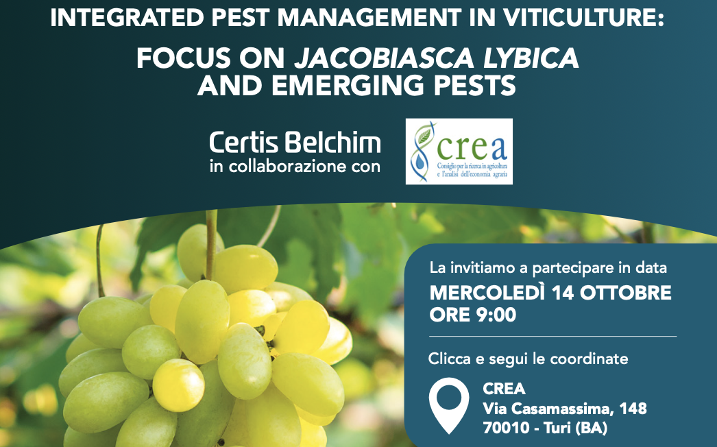 INTEGRATED PEST MANAGEMENT IN VITICULTURE: FOCUS ON JACOBIASCA LYBICA AND EMERGING PESTS