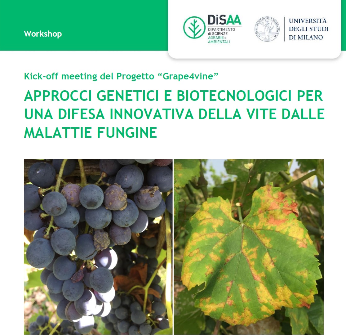 Immagine evento CARIPLO