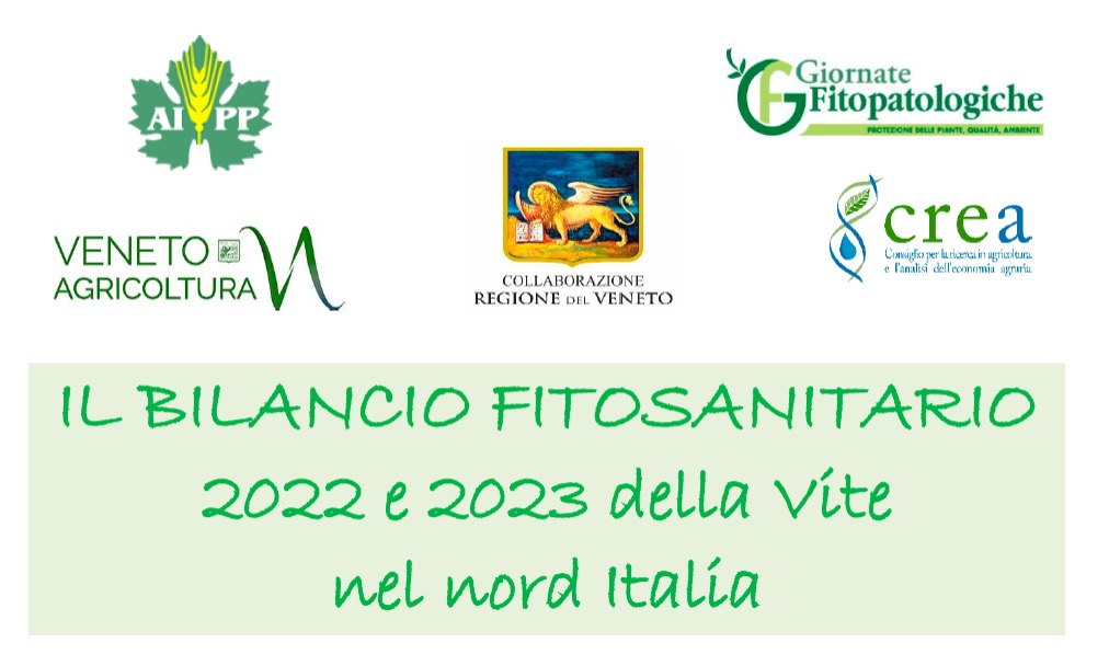 Immagine evento Bilancio