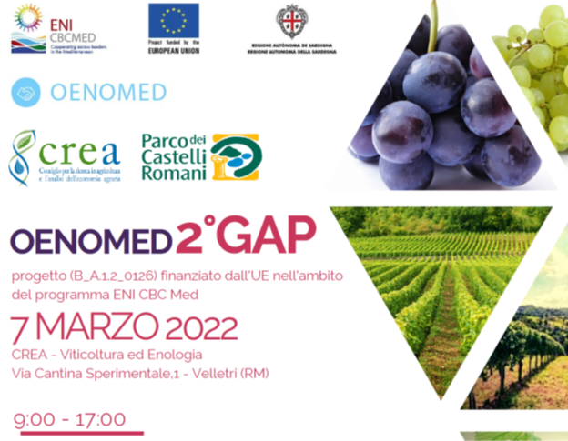 Oenomed Gruppo di Animazione Pubblico Privato