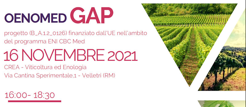 progetto OENOMED Gruppo di Animazione Pubblico Privato