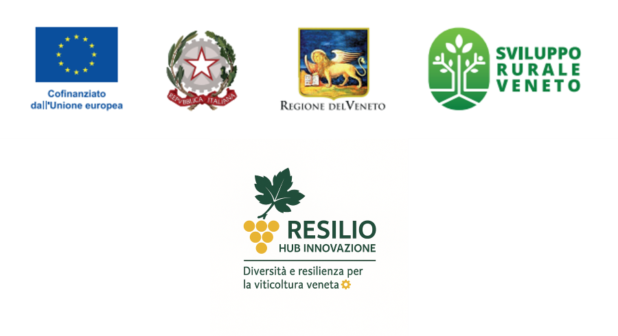RESILIO - SRG09 - COOPERAZIONE PER AZIONI DI SUPPORTO ALL'INNOVAZIONE