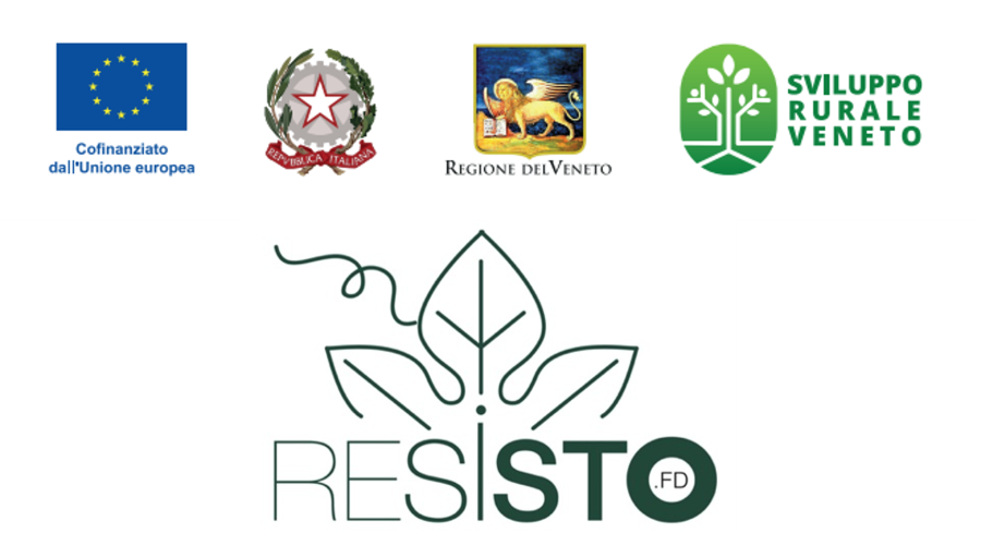 RESISTO.FD - Sostegno gruppi operativi PEI AGRI (SRG01)