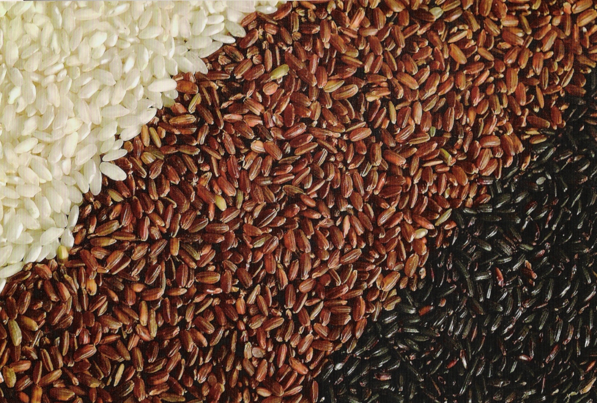 18° Simposio Internazionale sulla Genomica Funzionale del Riso