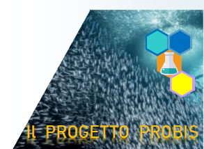 Project PROBIS: presentation of a brochure with a sunthesis of objectives and results