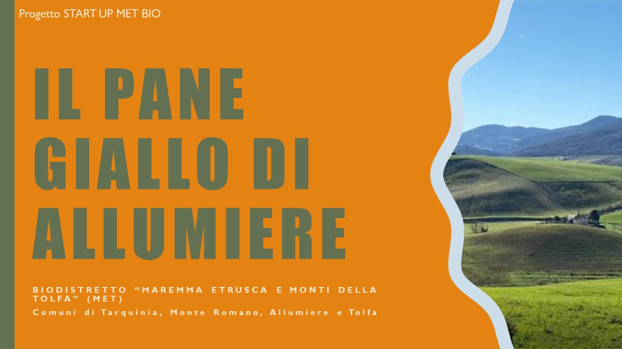 Educazione sensoriale nelle scuole per conoscere ed apprezzare i prodotti dell’agroalimentare italiano – L’esperienza del progetto START UP MET BIO