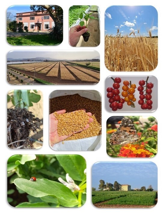 Visita alle parcelle delle risorse genetiche vegetali allevate presso il Centro di Difesa e Certificazione, sede di Battipaglia (SA)