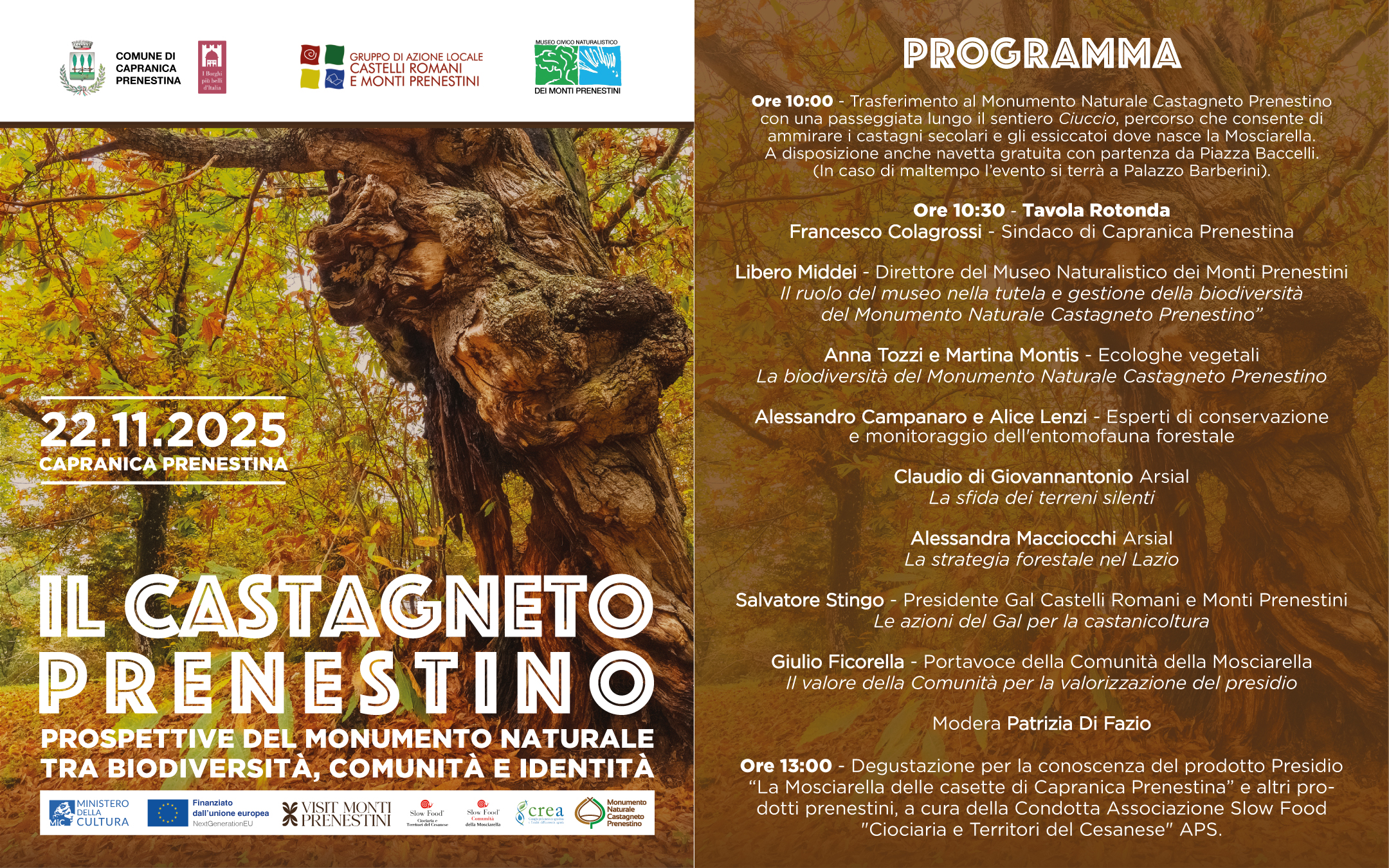 Il Castagneto Prenestino: prospettive del Monumento Naturale tra biodiversità, comunità e identità