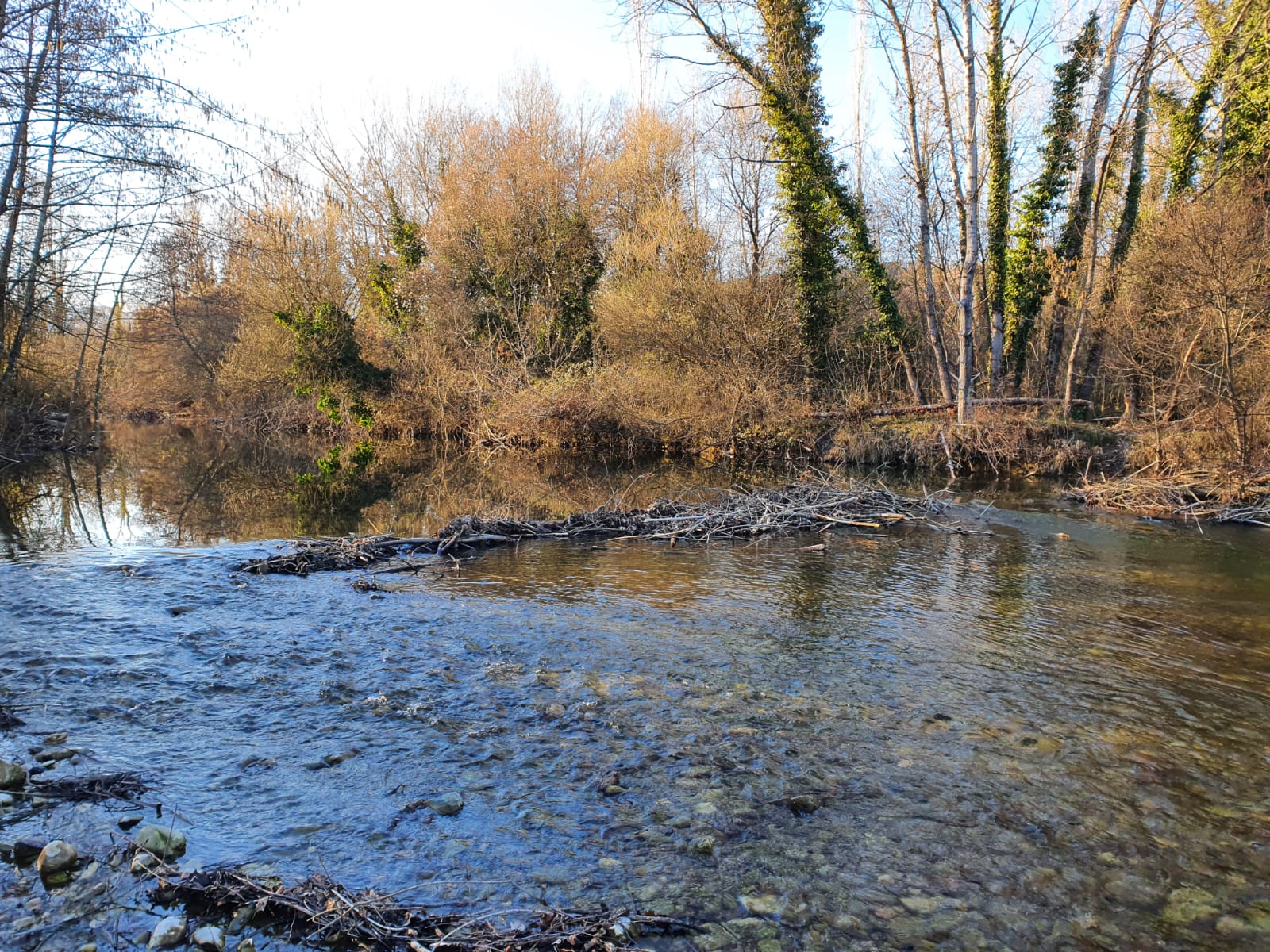 Diga sul Tevere a Sansepolcro (AR)
