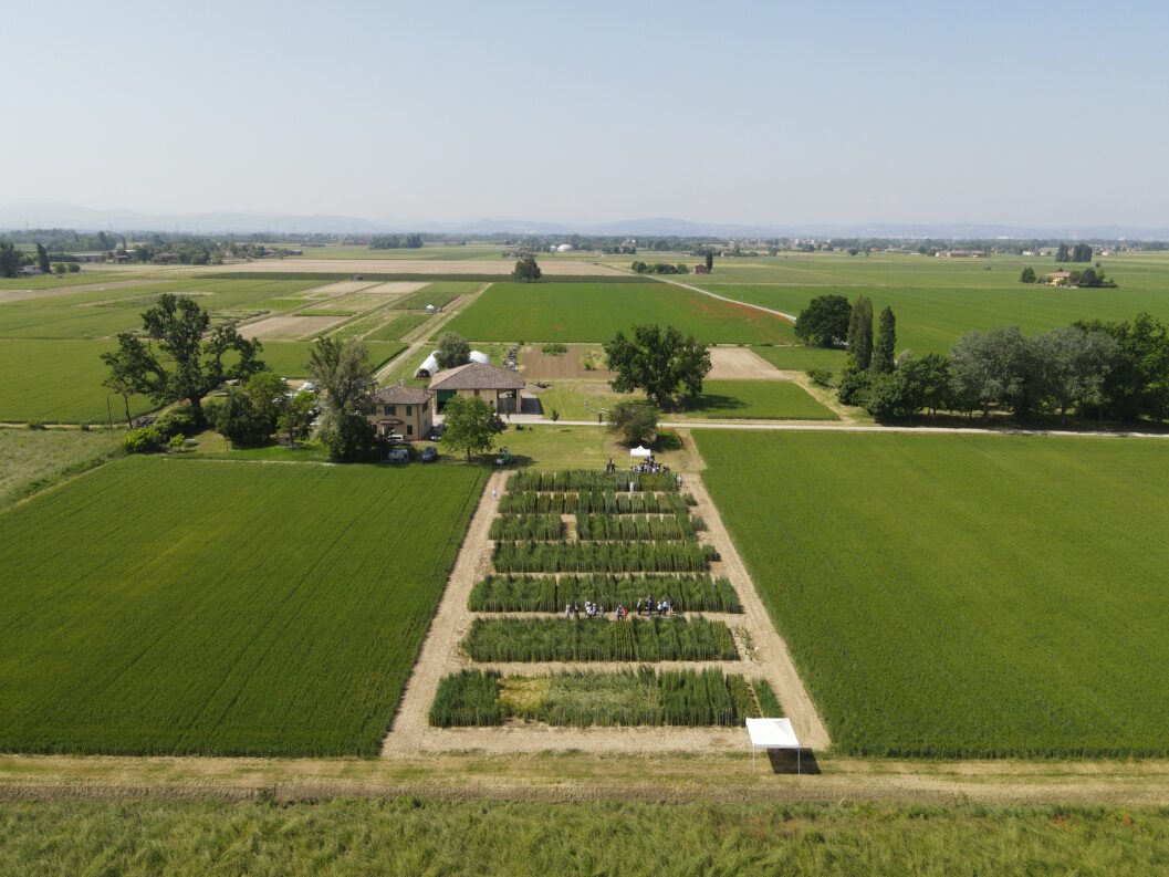 L’azienda agricola sperimentale Bagnaresa del Centro di ricerca Difesa e Certificazione presso Budrio (BO) apre le porte agli studenti dell’Università degli Studi di Firenze