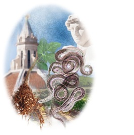 XV Congresso Nazionale Società Italiana di Nematologia