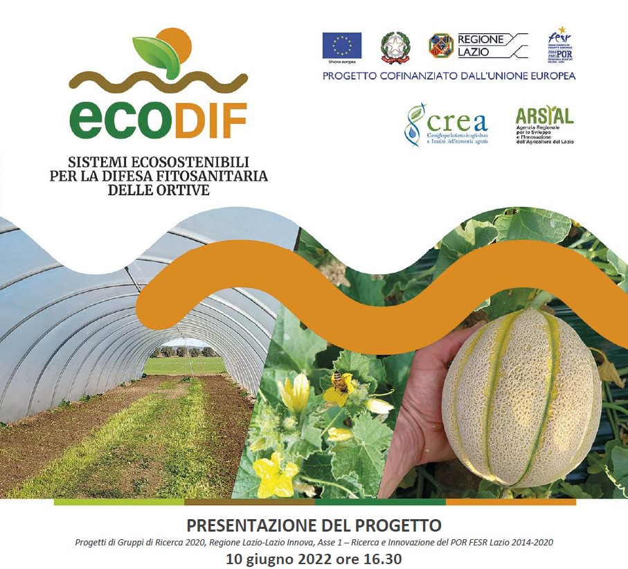 Il CREA presenta il progetto ECODIF- Sistemi ecosostenibili per la difesa fitosanitaria delle ortive