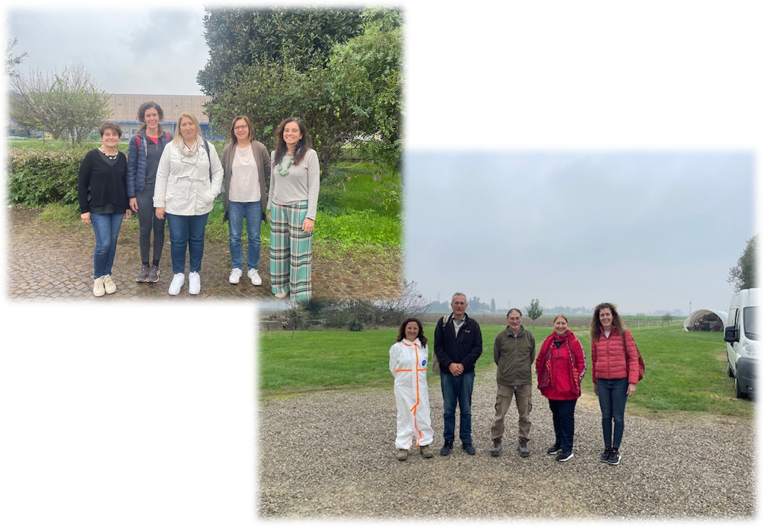 Prova VCU di frumento tenero