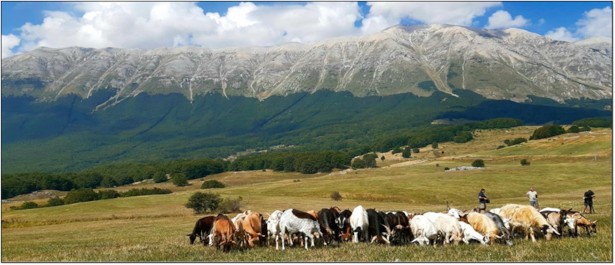 Paesaggio agro-pastorale delle terre della Maiella