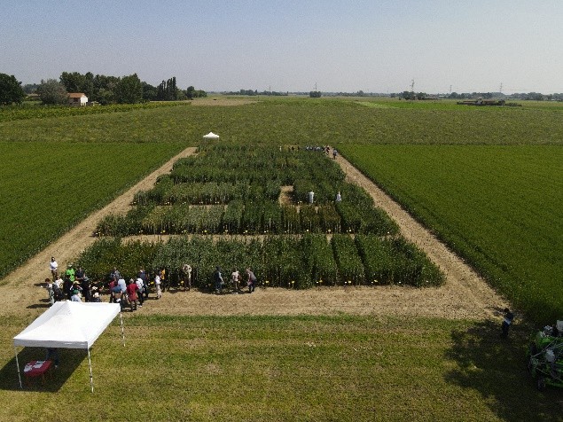 Visita alla prova di post controllo delle Varietà da conservazione di frumento tenero