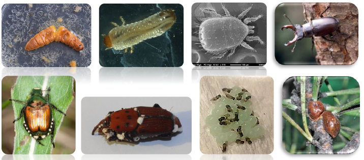 Porte aperte al CREA