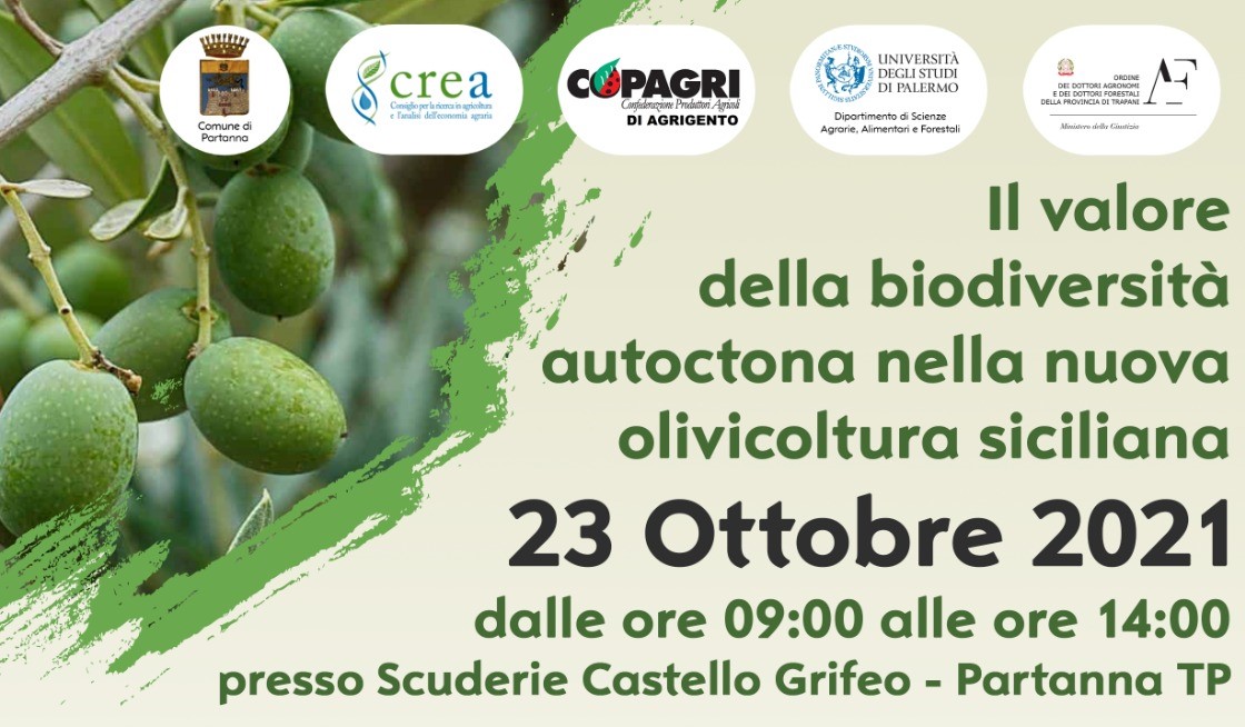Biodiversità in olivicoltura