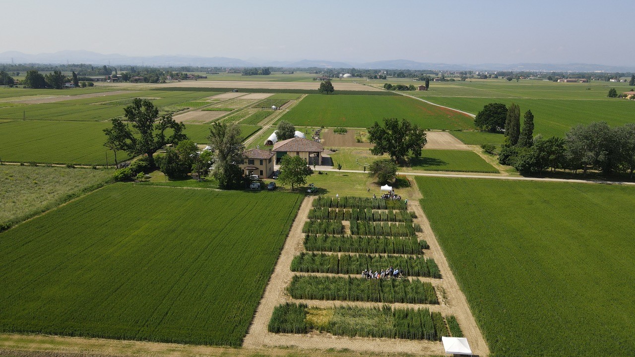 Azienda agricola sperimentale Bagnaresa